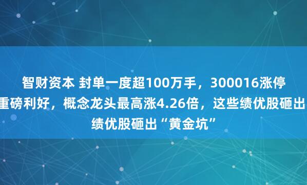 智财资本 封单一度超100万手，300016涨停！创新药重磅利好，概念龙头最高涨4.26倍，这些绩优股砸出“黄金坑”