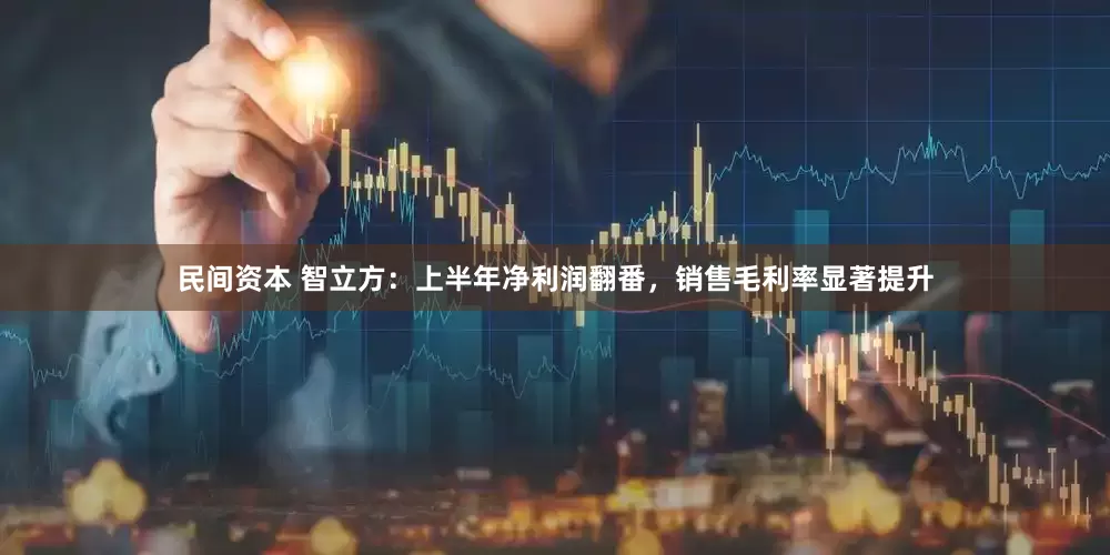 民间资本 智立方：上半年净利润翻番，销售毛利率显著提升